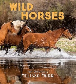 Wild Horses h with jacket