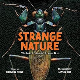 Strange Nature: The Insect Portraits of Levin Biss