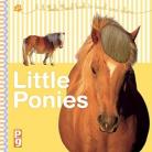 Feels Real: Little Ponies - board with 5 textures